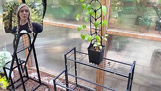 Destination Kats Funny Indoor Plant Haul