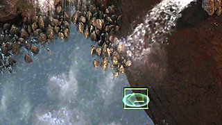 The genesis order (by NLT) - part. 29 (NVO)