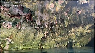 Maevaa Sinaloa And Amatrice Francaise In Stepbrother Fucks His Stepsister In The Shower And He Cums On Her Big Boobs