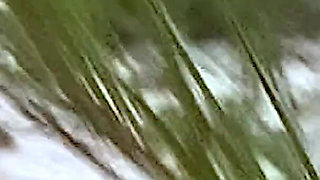 Sexy MILF Naked on the Nudist Beach