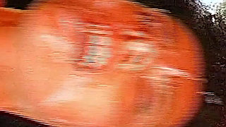 John Thompson: Leni Swallow