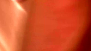 The Bride Bangs the Groom's Best Men