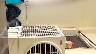 nineteen Mins And 30 Seconds Indian Viral MMS