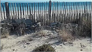 I Make 3 Guys At The Beach And Suck In The Dunes