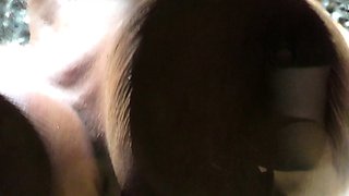 DaCada, Sexy Susi, and Gina Blonde clean your car