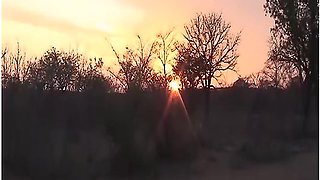 African Outdoor Groupsex Orgy