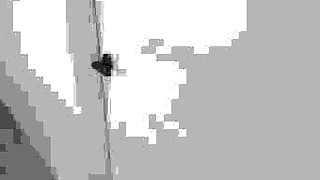 Wrestling with my stepsis and accidentally cum inside her