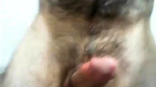 Hairy Bear Shows Off on Webcam